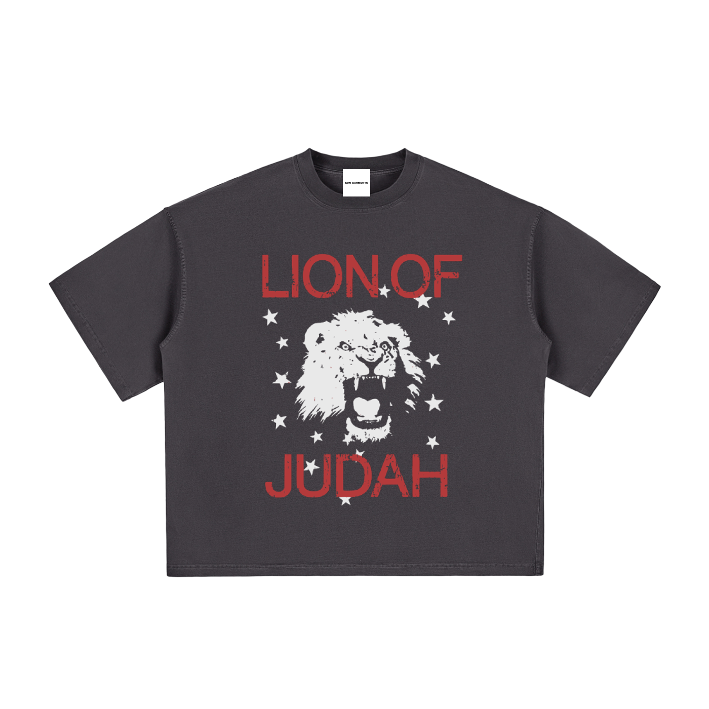 LION OF JUDAH VINTAGE BOXY TEE