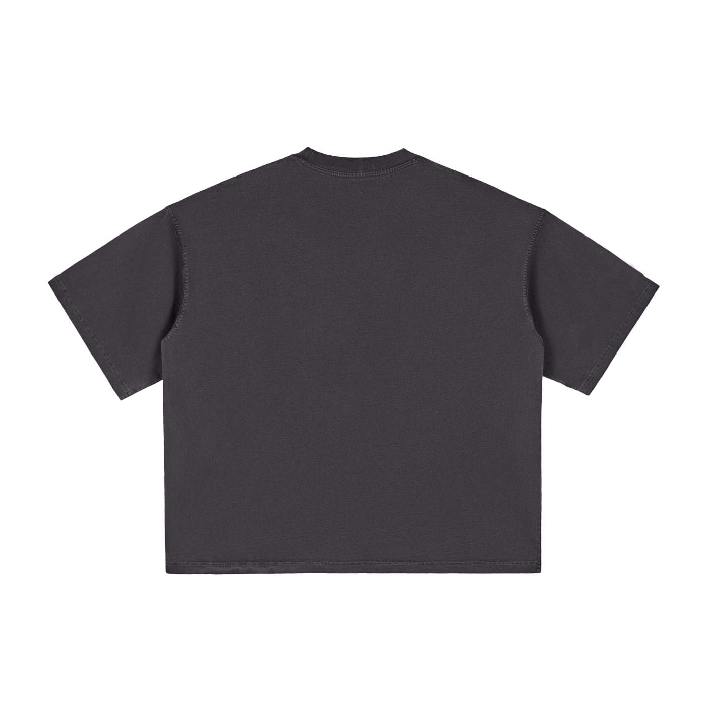 LION OF JUDAH VINTAGE BOXY TEE